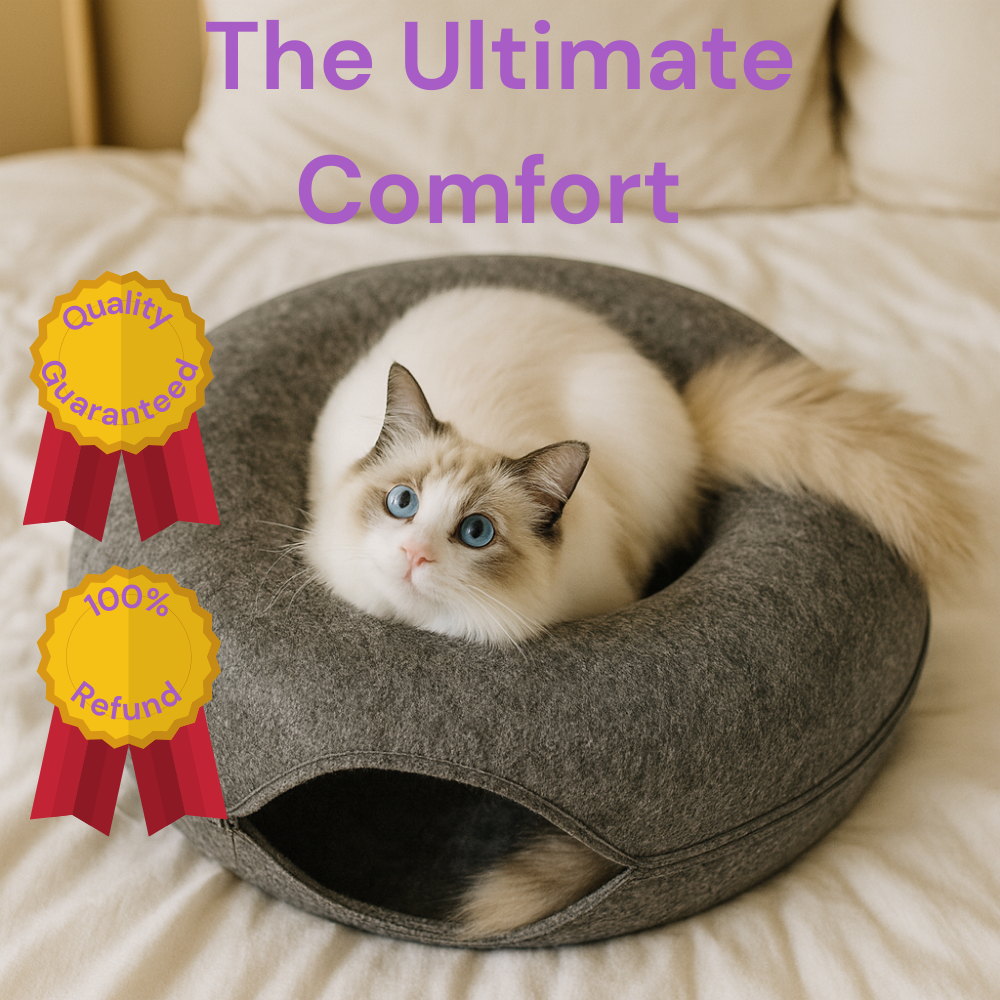 Kitty Fun Funnel 2.0