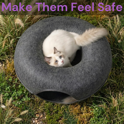 Kitty Fun Funnel 2.0