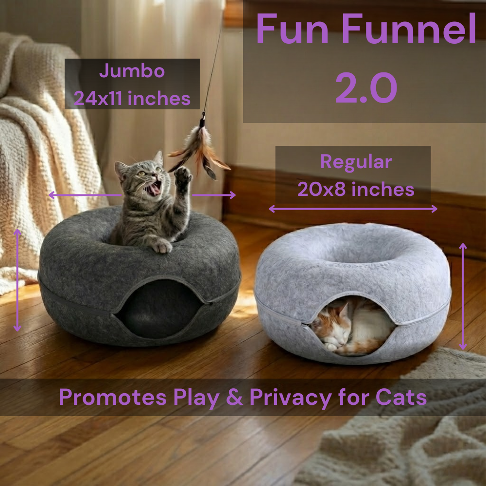 Kitty Fun Funnel 2.0