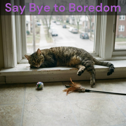 Kitty Fun Funnel 2.0