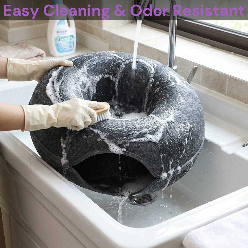 Kitty Fun Funnel 2.0