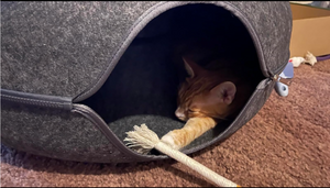 Johan D. review image