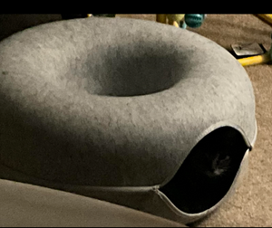 S. Seals review image