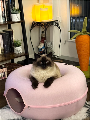 Jenn G. review image